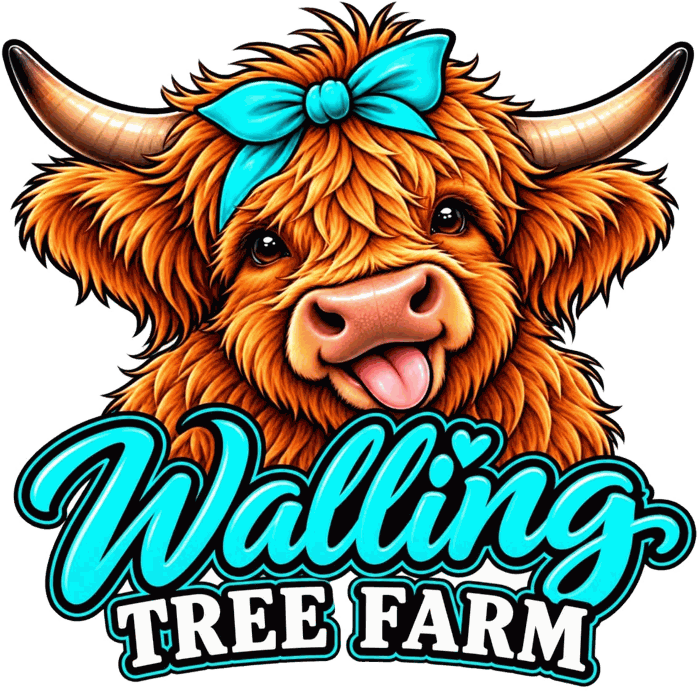 Walling Tree Farm logo: a smiling Highland cow with a turquoise bow